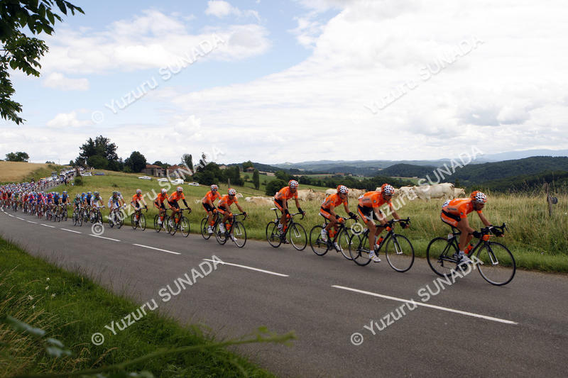 Peloton at pasture003p.jpg